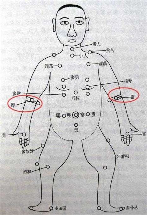 手臂上有痣|痣的位置与命运：手臂上有痣代表什么寓意